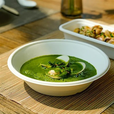 Ciotola di bagassa di canna da zucchero