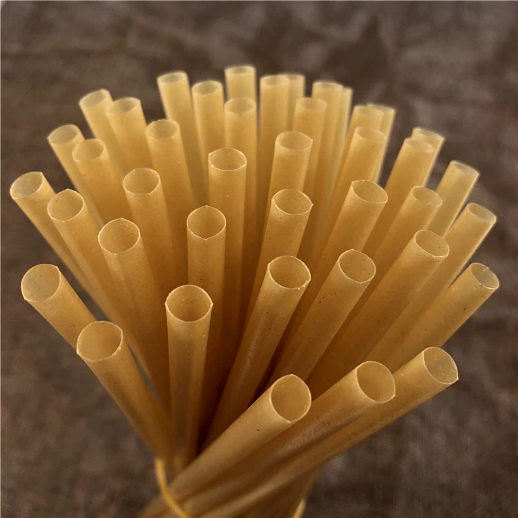 Sugarcane PLA Straw